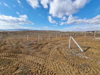 GÜVENAY - ÇORUM BARAJ MANZARALI MERKEZDE 475 M² BAHÇELER