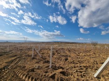 GÜVENAY - ÇORUM BARAJ MANZARALI MERKEZDE 475 M² BAHÇELER