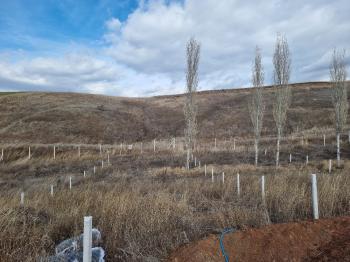 GÜVENAY - ÇORUM SERPİN İLERİSİ 15 DÖNÜM SATILIK TARLA