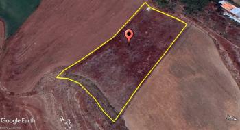 Güvenay - Çorum Bayat Gediği Hayat Şırınga Arkası 6 Dönüm Satılık Tarla