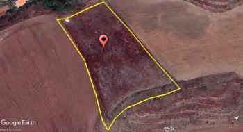 Güvenay - Çorum Bayat Gediği Hayat Şırınga Arkası 6 Dönüm Satılık Tarla