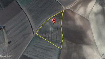 GÜVENAY - ÇORUM TATAR KÖYÜNDE 9 DÖNÜM SATILIK TARLA