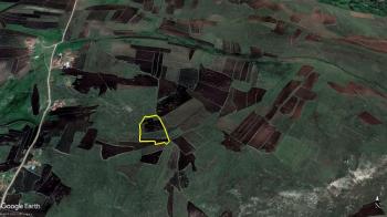 ARDAHAN BAYRAMOĞLU 14,5 DÖNÜM ACİL SATILIK TARLA