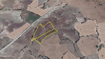 GÜVENAY - ÇORUM SARMAŞA İLERİSİ 22 DÖNÜM ACİL SATILIK TARLA