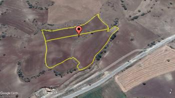 GÜVENAY - ÇORUM SARMAŞA İLERİSİ 22 DÖNÜM ACİL SATILIK TARLA