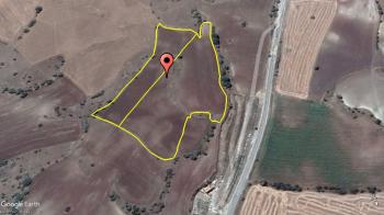 GÜVENAY - ÇORUM SARMAŞA İLERİSİ 22 DÖNÜM ACİL SATILIK TARLA