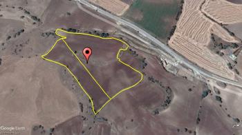 GÜVENAY - ÇORUM SARMAŞA İLERİSİ 22 DÖNÜM ACİL SATILIK TARLA