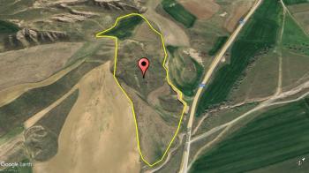 GÜVENAY -  ÇORUM İSKİLİP ANA YOLA CEPHE 67 DÖNÜM SATILIK TARLA