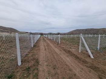 GÜVENAY - ÇORUM SARMAŞA KARŞISI SATILIK 400 M² BAHÇE