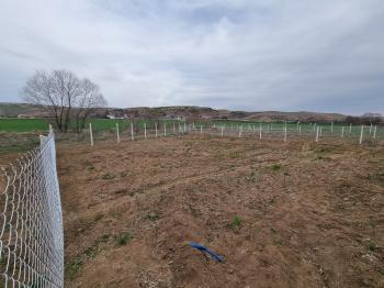 GÜVENAY - ÇORUM SARMAŞA KARŞISI SATILIK 400 M² BAHÇE