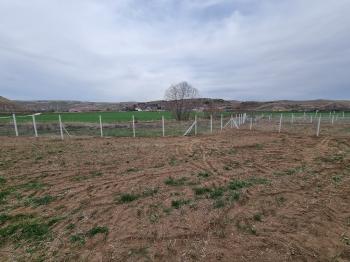 GÜVENAY - ÇORUM SARMAŞA KARŞISI SATILIK 400 M² BAHÇE