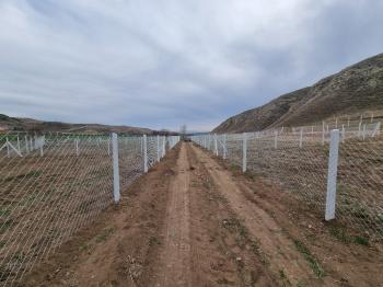 GÜVENAY - ÇORUM SARMAŞA KARŞISI SATILIK 400 M² BAHÇE