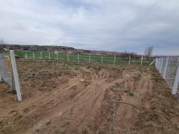 GÜVENAY - ÇORUM SARMAŞA KARŞISI SATILIK 400 M² BAHÇE