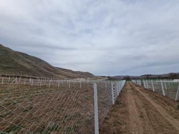 GÜVENAY - ÇORUM SARMAŞA KARŞISI SATILIK 400 M² BAHÇE