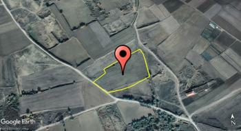 GÜVENAY - ÇORUM ALACA YOL AYRIMI İLERİSİ 22 DÖNÜM TARLA