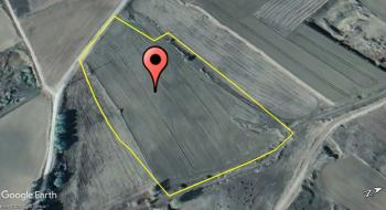 GÜVENAY - ÇORUM ALACA YOL AYRIMI İLERİSİ 22 DÖNÜM TARLA