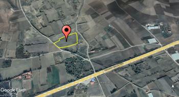 GÜVENAY - ÇORUM ALACA YOL AYRIMI İLERİSİ 22 DÖNÜM TARLA