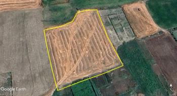 GÜVENAY - ÇORUM OVAKARAPINAR KÖYÜ 6 DÖNÜM SATILIK TARLA