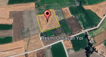 GÜVENAY - ÇORUM OVAKARAPINAR KÖYÜ 6 DÖNÜM SATILIK TARLA