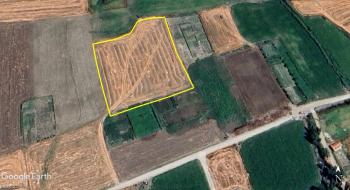 GÜVENAY - ÇORUM OVAKARAPINAR KÖYÜ 6 DÖNÜM SATILIK TARLA