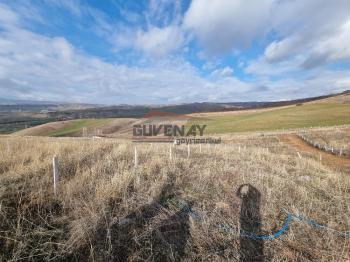 GÜVENAY - ÇORUM SERPİN KÖYÜ İLERİSİ SATILIK BAHÇE
