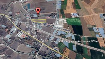 GÜVENAY - ÇORUM İSKİLİP YOLU YANI 13 DÖNÜM SATILIK TARLA