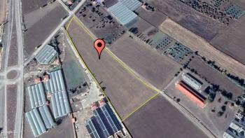 GÜVENAY - ÇORUM İSKİLİP YOLU YANI 13 DÖNÜM SATILIK TARLA