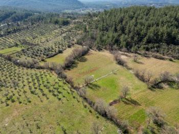 Yerkesik Erenardı Mevkii 2.332 m2 Satılık Tarla