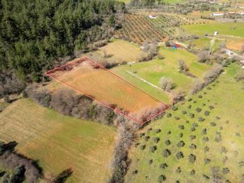 Yerkesik Erenardı Mevkii 2.332 m2 Satılık Tarla