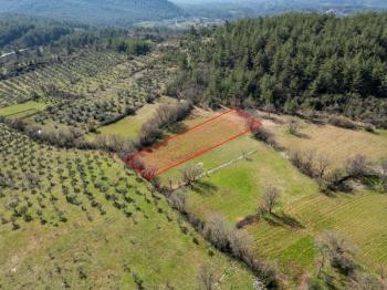 Yerkesik Erenardı Mevkii 2.332 m2 Satılık Tarla
