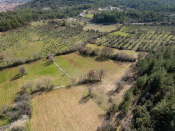 Yerkesik Erenardı Mevkii 2.332 m2 Satılık Tarla