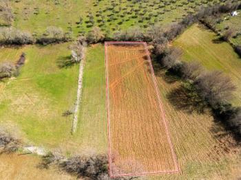 Yerkesik Erenardı Mevkii 2.332 m2 Satılık Tarla