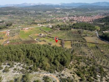 Yerkesik Erenardı Mevkii 2.332 m2 Satılık Tarla