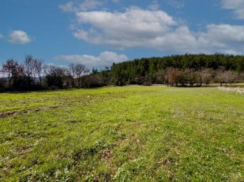 Yerkesik Erenardı Mevkii 2.332 m2 Satılık Tarla