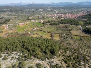 Yerkesik Erenardı Mevkii 2.332 m2 Satılık Tarla