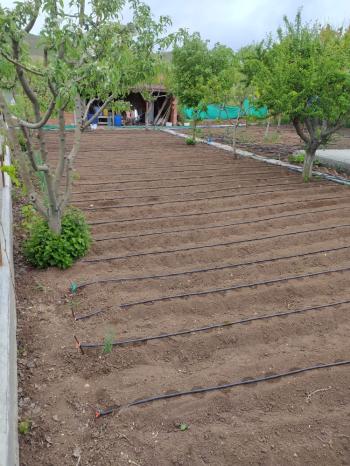 GÜVENAY - ÇORUM SARMAŞA MEVKİNDE EVİ OLAN SATILIK HOBİ BAHÇESİ 