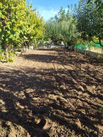 GÜVENAY - ÇORUM SARMAŞA MEVKİNDE EVİ OLAN SATILIK HOBİ BAHÇESİ 