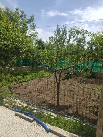 GÜVENAY - ÇORUM SARMAŞA MEVKİNDE EVİ OLAN SATILIK HOBİ BAHÇESİ 