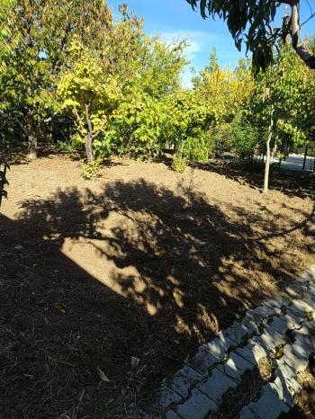 GÜVENAY - ÇORUM SARMAŞA MEVKİNDE EVİ OLAN SATILIK HOBİ BAHÇESİ 