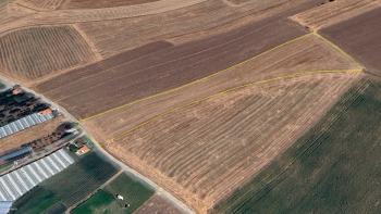 GÜVENAY - ÇORUM İSKİLİP YOLU DELİLER YAKINI 16 DÖNÜM ACİL SATILIK TARLA