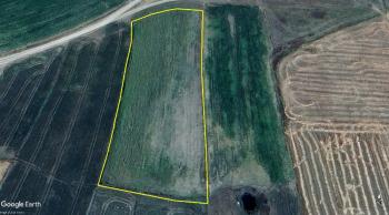 GÜVENAY - ÇORUM ŞEKER VE CEMİLBEY ARASI 8,5 DÖNÜM SATILIK TARLA 