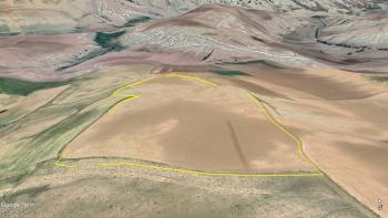 GÜVENAY - ÇORUM İSKİLİP YOLU ALT TARAFI 41 DÖNÜM ACİL SATILIK TARLA