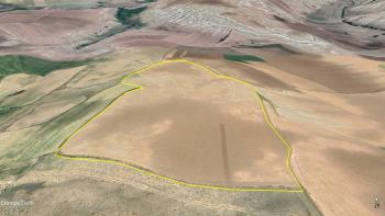 GÜVENAY - ÇORUM İSKİLİP YOLU ALT TARAFI 41 DÖNÜM ACİL SATILIK TARLA
