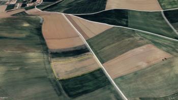 GÜVENAY - ÇORUM ALİKİ BAĞLARI YAKINI 8,692M² SATILIK TARLA 