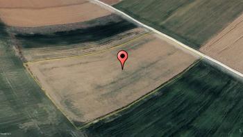 GÜVENAY - ÇORUM ALİKİ BAĞLARI YAKINI 8,692M² SATILIK TARLA 