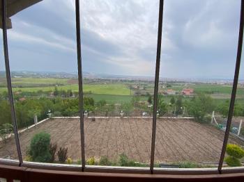 GÜVENAY - ÇORUM İBRAHİMÇAYIRI ARKASI SATILIK 1850 M² BAĞ