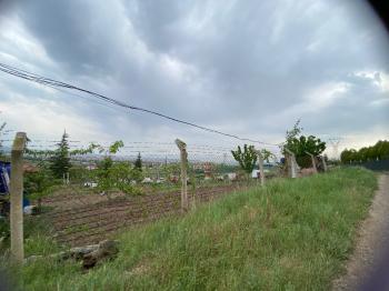 GÜVENAY - ÇORUM İBRAHİMÇAYIRI ARKASI SATILIK 1850 M² BAĞ