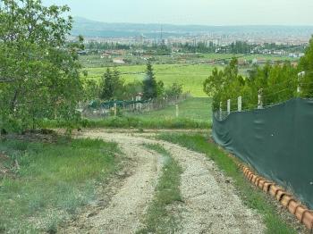 GÜVENAY - ÇORUM İBRAHİMÇAYIRI ARKASI SATILIK 1850 M² BAĞ