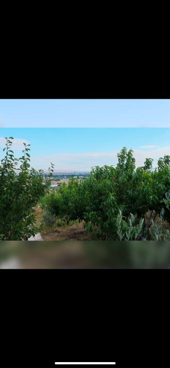 GÜVENAY - ÇORUM İBRAHİMÇAYIRI ARKASI SATILIK 1850 M² BAĞ
