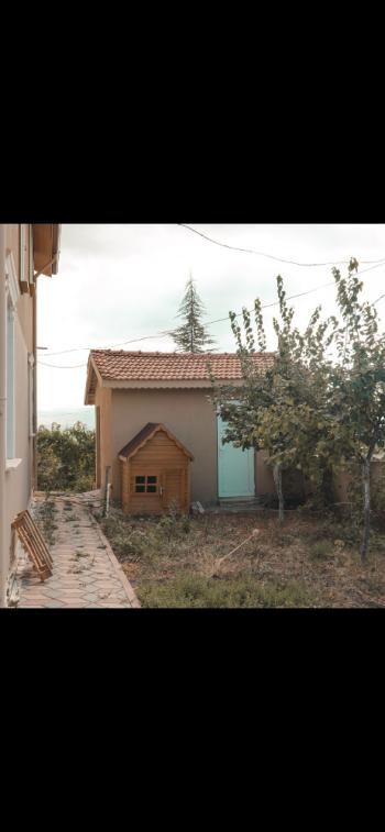 GÜVENAY - ÇORUM İBRAHİMÇAYIRI ARKASI SATILIK 1850 M² BAĞ